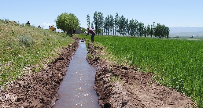 Erzurum'da 340 bin 290 dekar tarım arazisi sulanmaya başladı