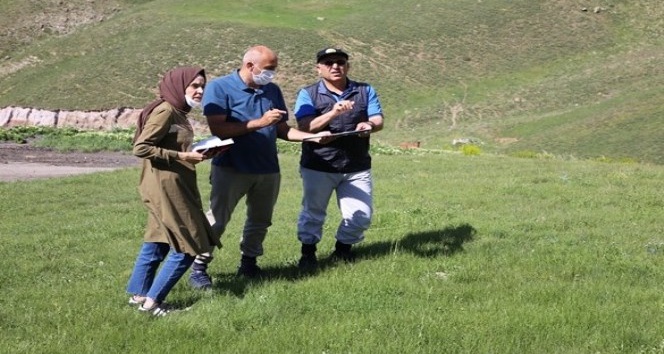 Erzurum Palandöken Kayak Merkezi ağaçlandırılıyor